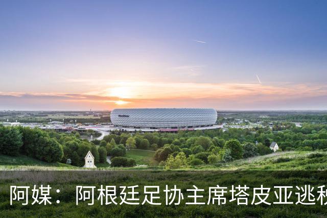 阿媒：阿根廷足协主席塔皮亚逃税上诉被驳回，确认将被起诉